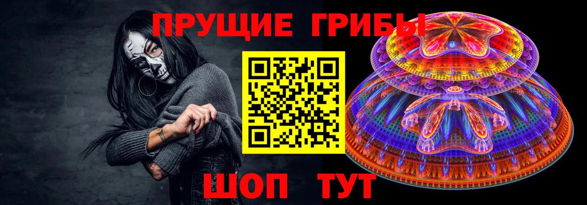 Киров  Псилоцибиновые грибы мицелий  купить   Вход с VPN 